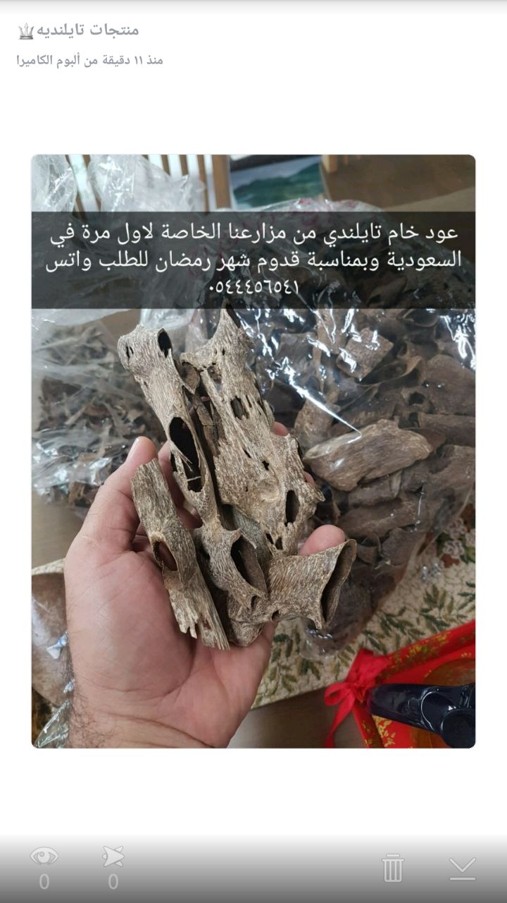          0544456541
