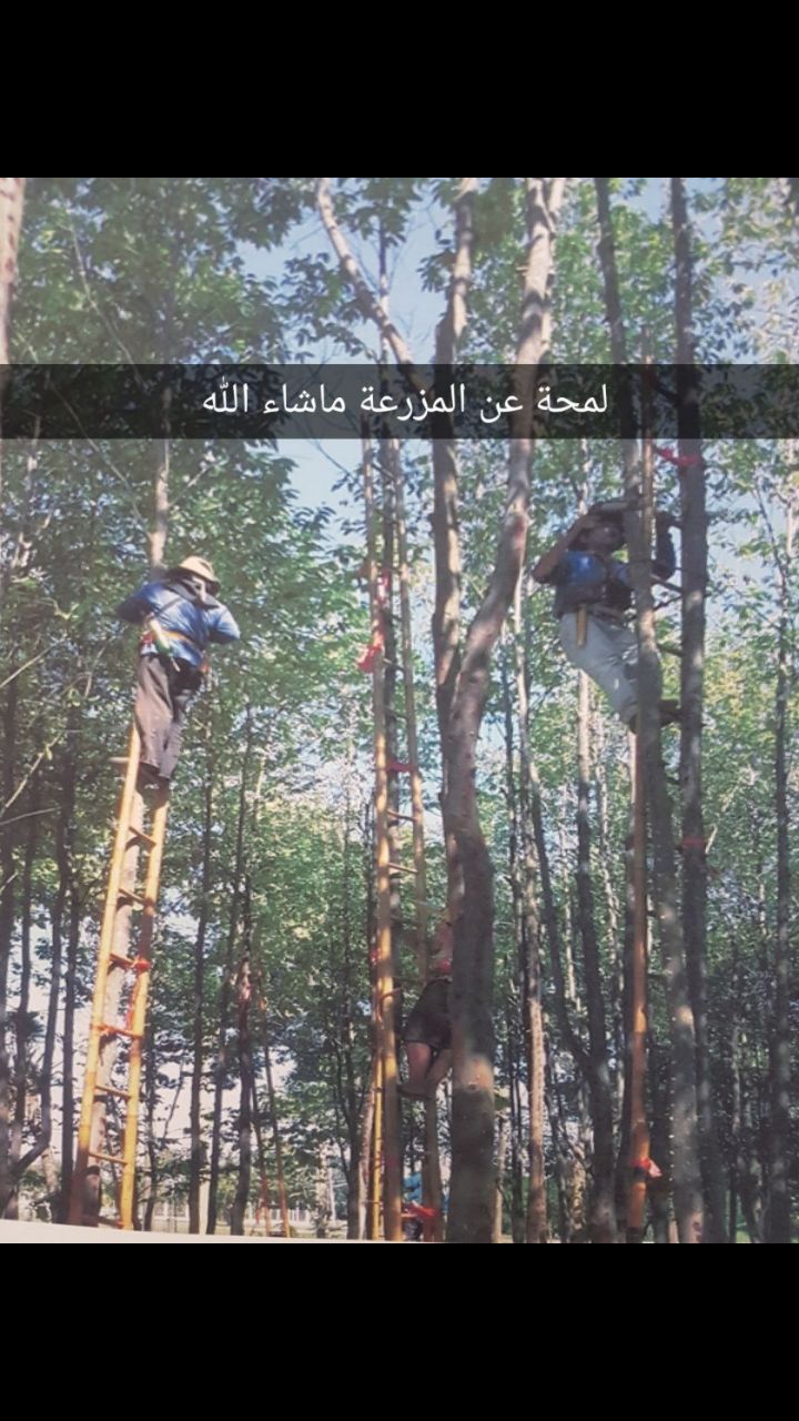           0544456541