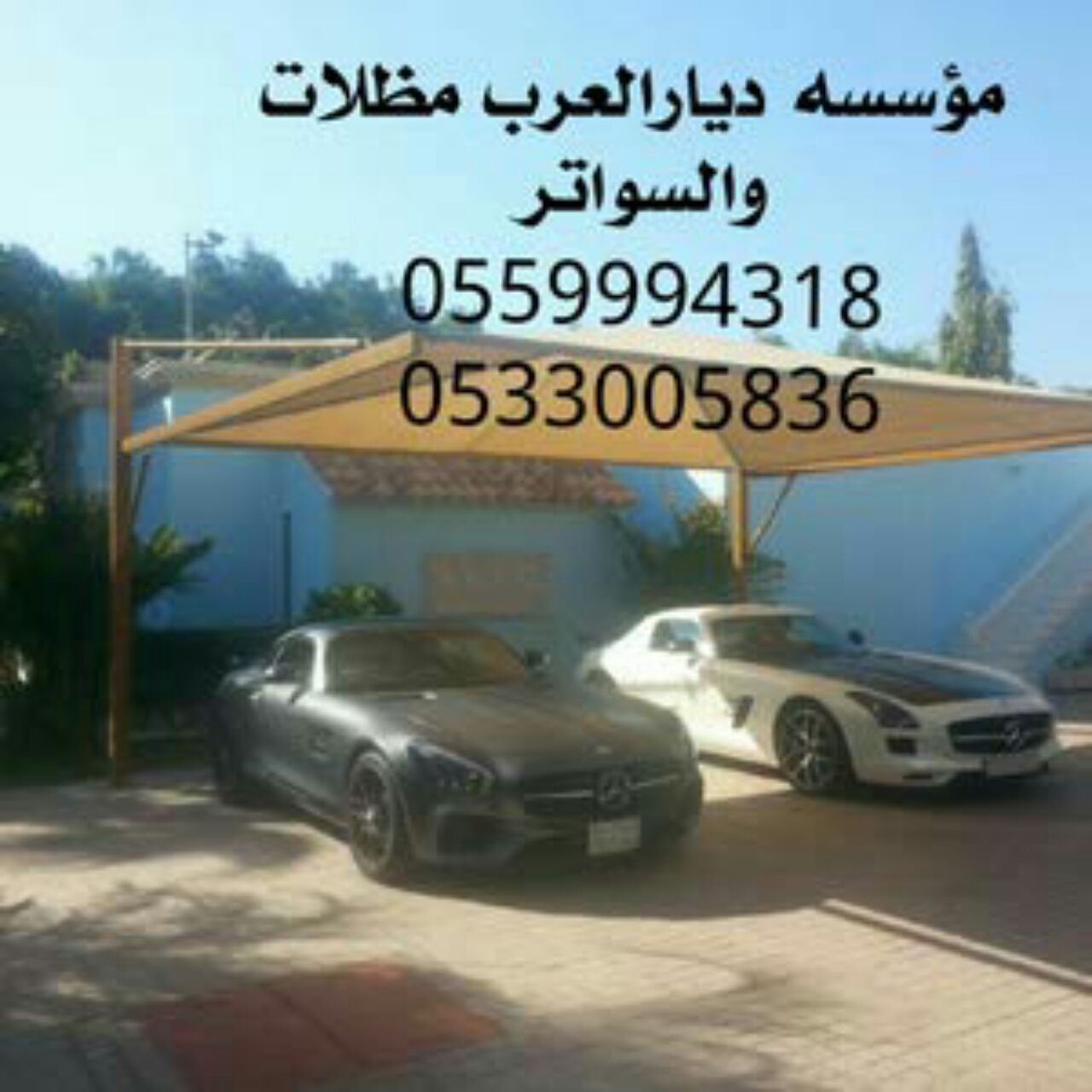 ����� ������ ���� ����� ����� ����� ���� ��� ����� 0559994318 www.diaralarab.net