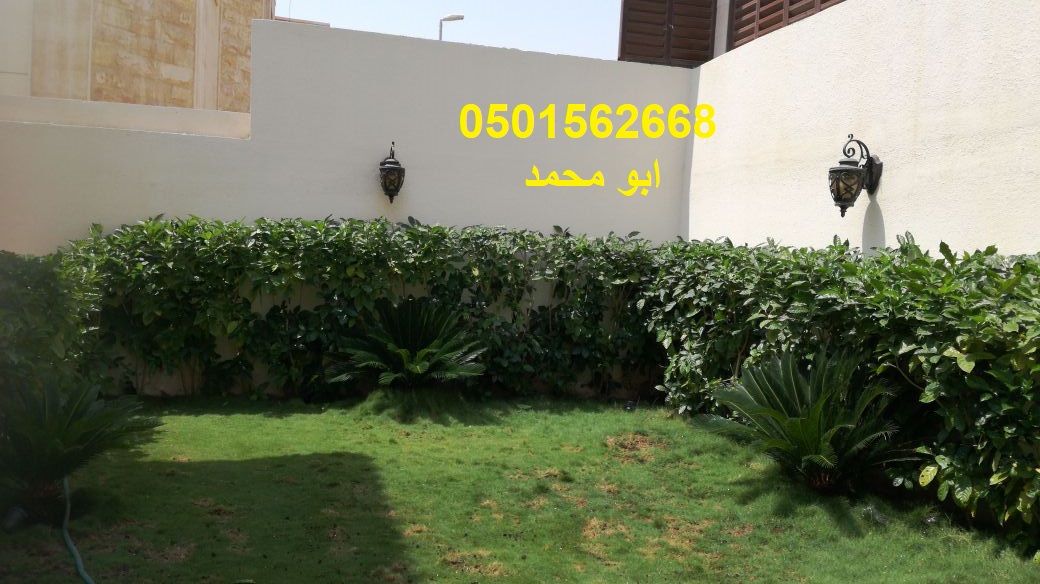               0501562668