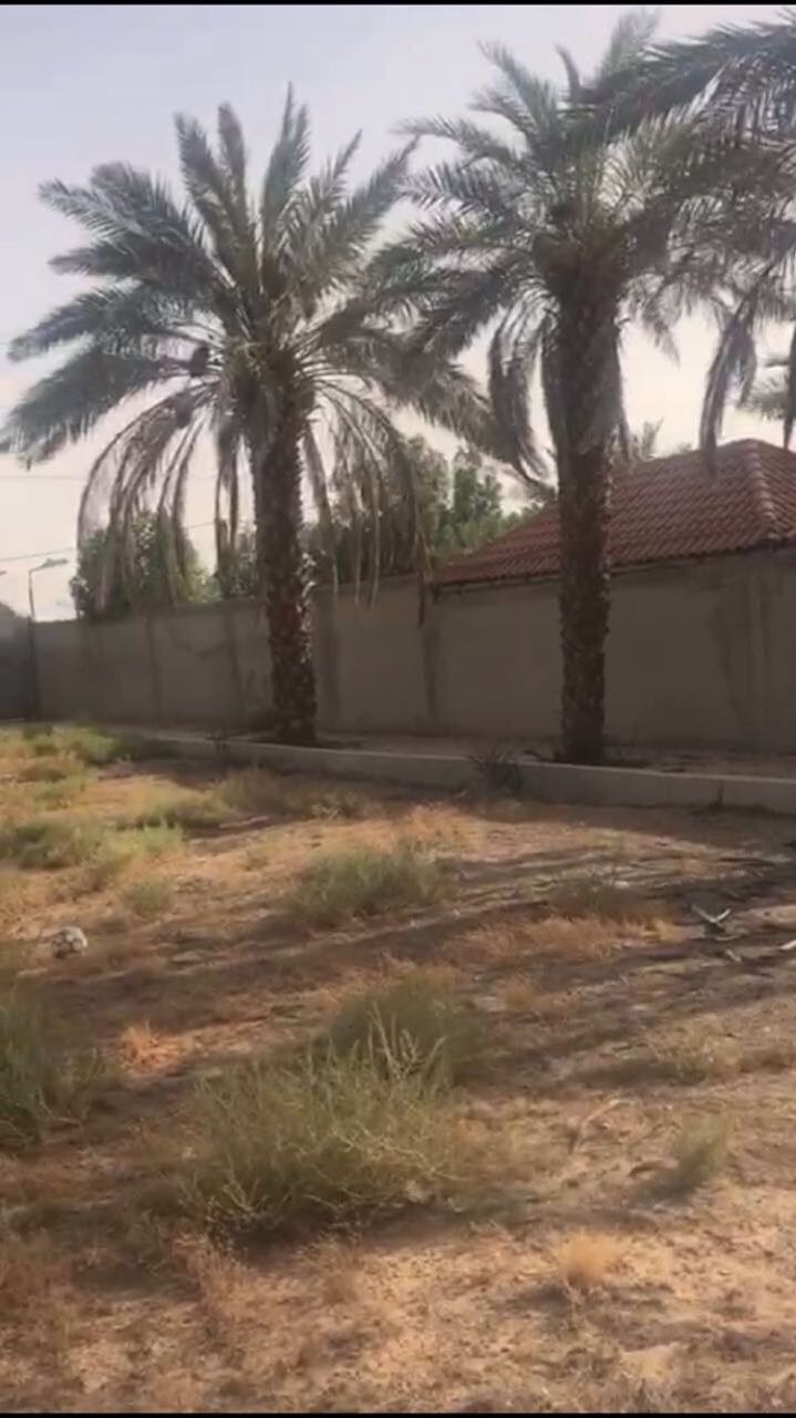 ������� ����� ����� ����� 2000 ��� ����� ���� ���� ��� 450 ��� ��� 0540742222