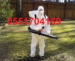 ������ ���� ������ ���� ������� ������� ������� 0551704169