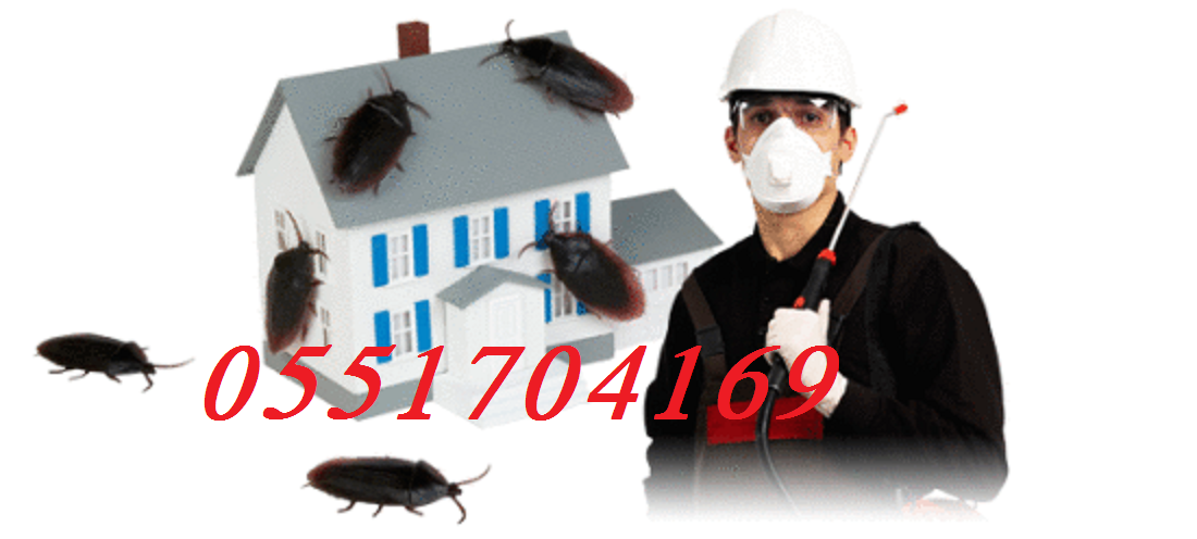 ���� ����� �������,���� ����� ������� 0551704169