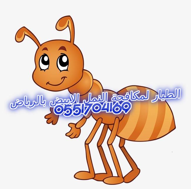      0551704169