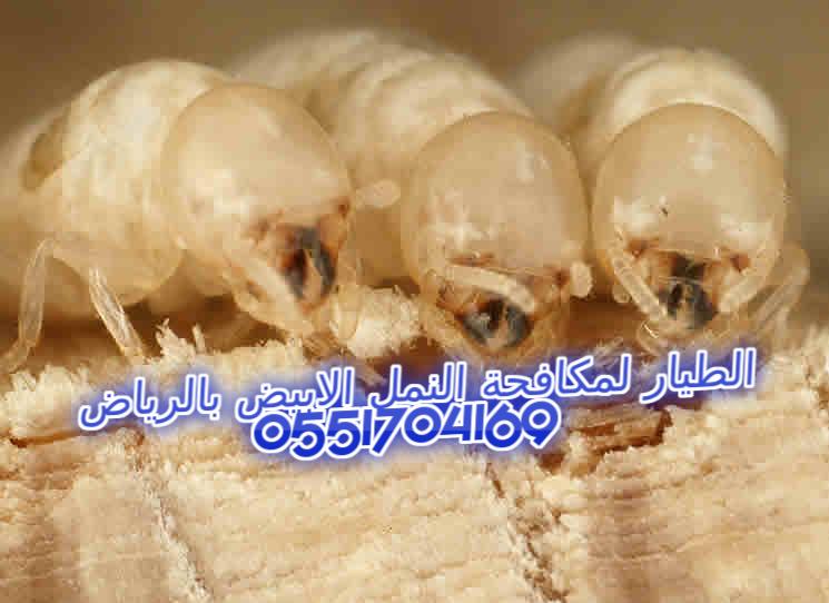      0551704169