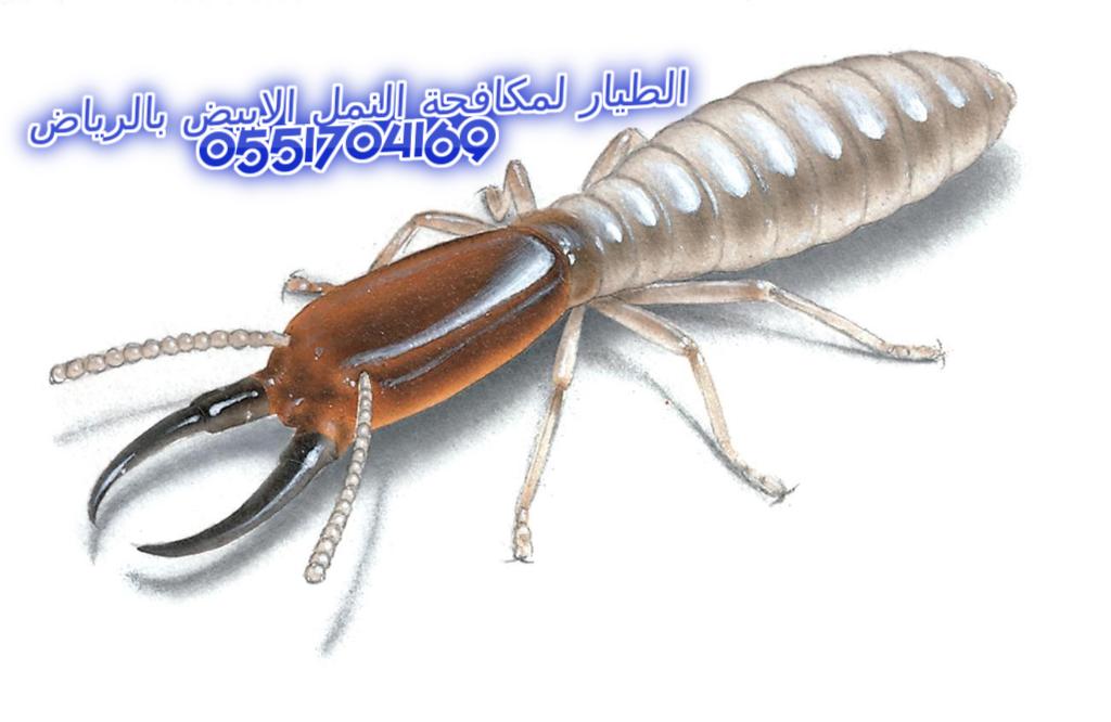      0551704169