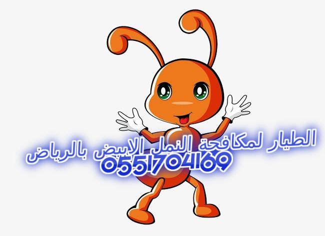      0551704169