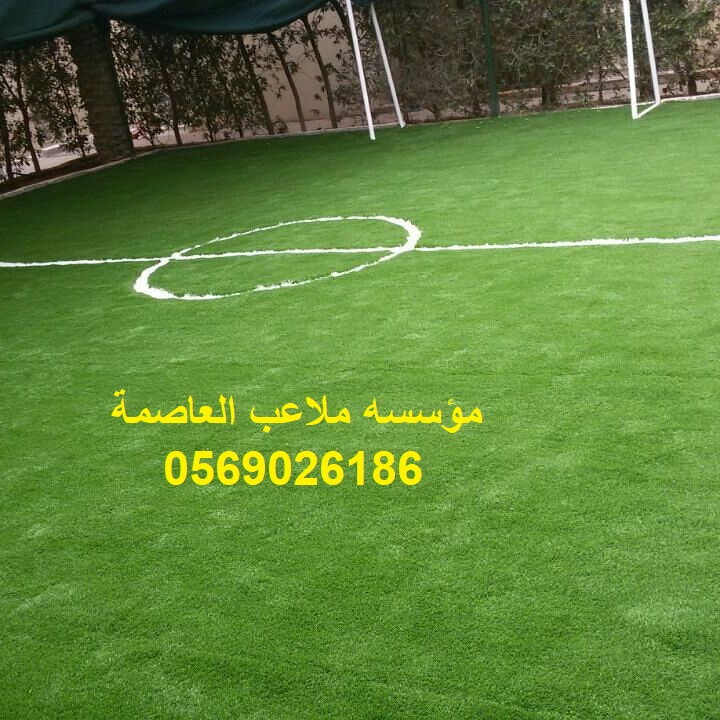             0569026186