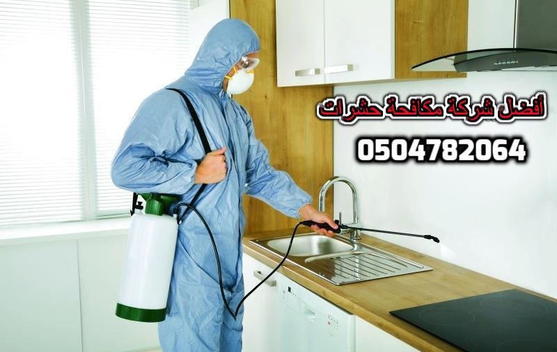 ���� ������ ���� ���� ������ ����� �������