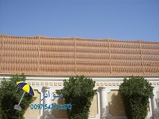 ���� ����� ������� �������� �������