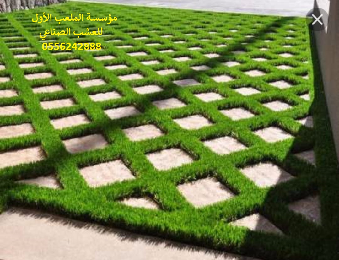 ,,,,,,, ,,,,,, ,,,,0556242888