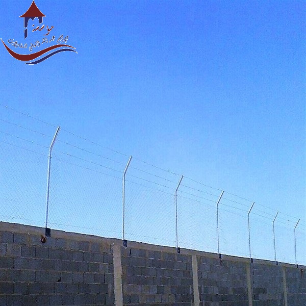 ����� � ����� ������ 0507650967_0577782520