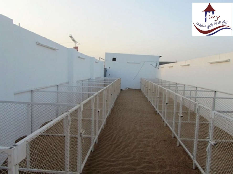 ������� ����� �� ����� ����� ����� � ����� 0507650967_0577782520