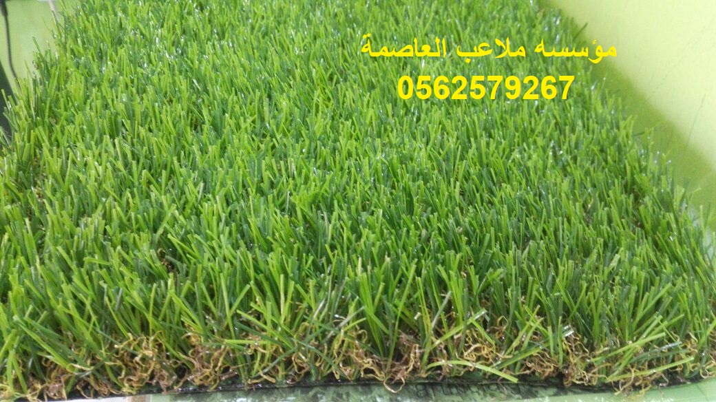          0562579267