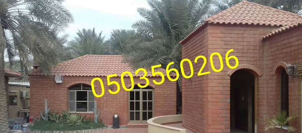   ���� ����� ������� �� �������� 0503560206