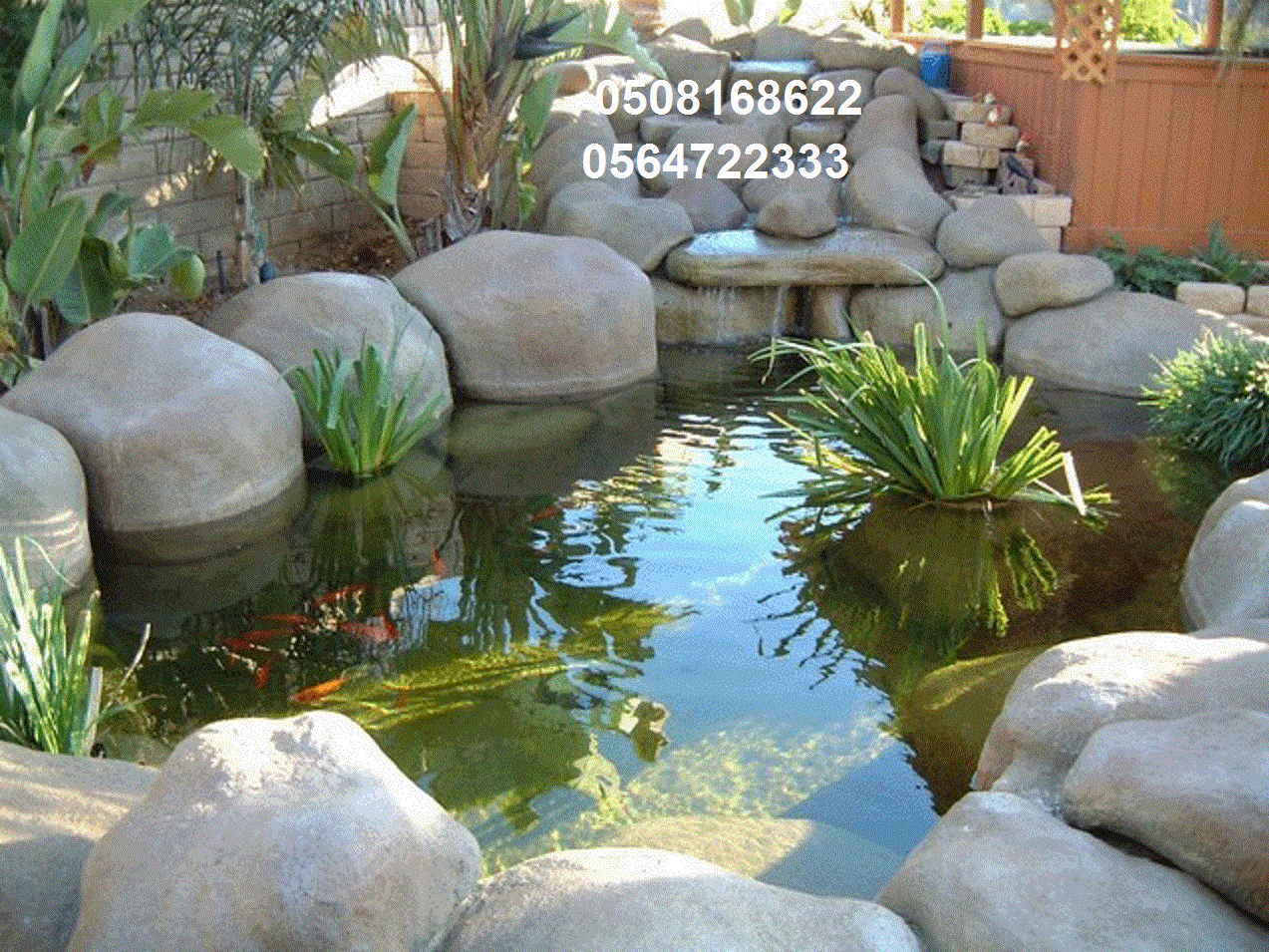 ����� �����, ������� ������