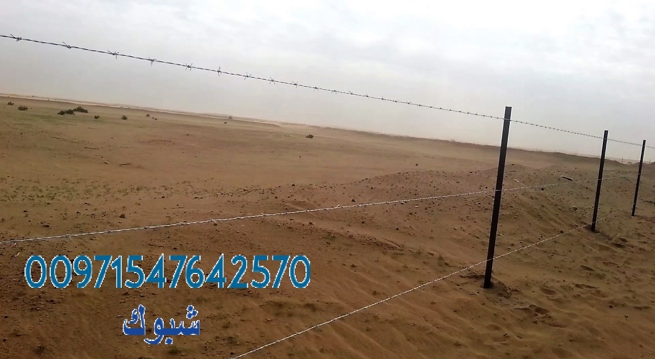 ���� ����� ������ � ����� 00971547642570