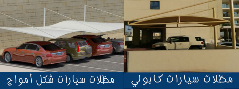     -    - 0500559613 -    -   -     